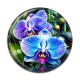 Cabochon Résine - fleur orchidée