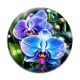 Cabochon Verre - fleur orchidée