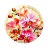 fleur orchidée