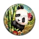 Cabochon Résine - Panda- Cabochon verre ou résine, miroirs, porte clés