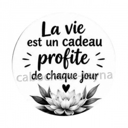  Citation- la vie est un cadeau profite de chaque jour