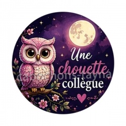 une chouette collègue- cabochon verre ou résine