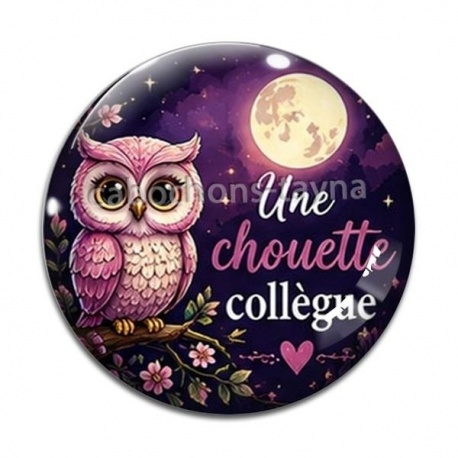 Cabochon Verre - une chouette collègue- cabochon verre ou résine