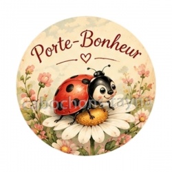 porte bonheur coccinelle- cabochon verre ou résine, magnet