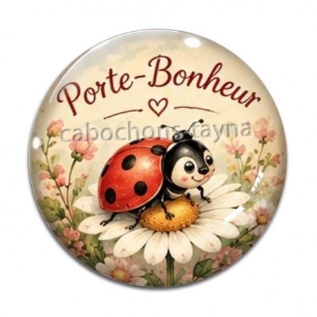 Cabochon Verre - porte bonheur coccinelle- cabochon verre ou résine, magnet