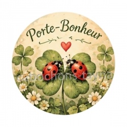 porte bonheur coccinelle- cabochon verre ou résine- pendentif