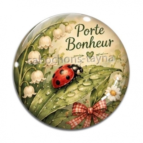 Cabochon Verre - porte bonheur- cabochon verre ou résine, porte clé