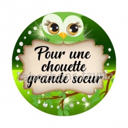 une chouette grande soeur-  cabochon verre ou résine- pendentif