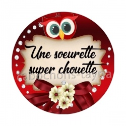 une soeurette super chouette- cabochon verre ou résine