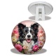 Trépied - chien