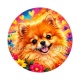 chien Spitz nain- Plusieurs supports au choix