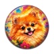Cabochon Résine - chien Spitz nain- Plusieurs supports au choix