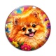 Cabochon Verre - chien Spitz nain- Plusieurs supports au choix