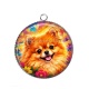 Pendentif Cabochon Argent - chien Spitz nain- Plusieurs supports au choix