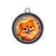 Pendentif Cabochon Argent - chien Spitz nain- Plusieurs supports au choix