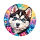 chien Husky de Sibérie aux yeux bleus