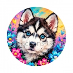chien Husky de Sibérie aux yeux bleus