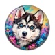 Cabochon Résine - chien Husky de Sibérie aux yeux bleus