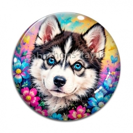 Cabochon Verre - chien Husky de Sibérie aux yeux bleus