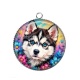 Pendentif Cabochon Argent - chien Husky de Sibérie aux yeux bleus
