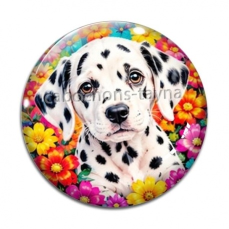 Cabochon Verre - chien dalmatien- cabochon verre ou résine -porte clés