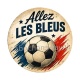 cabochon allez le bleus- plusieurs supports
