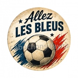 cabochon allez le bleus- plusieurs supports