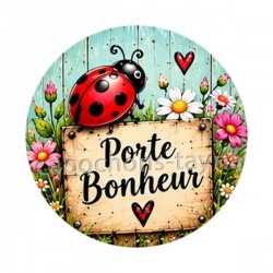 porte bonheur coccinelle- cabochon verre ou résine, porte clé