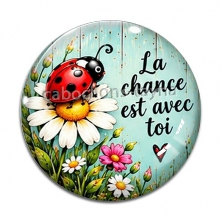 Cabochon Verre - porte bonheur- la chance est avec toi- cabochon verre ou résine