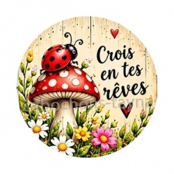 cabochon crois en tes rêves-  verre ou résine, magnet