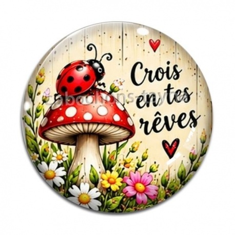 Cabochon Verre - cabochon crois en tes rêves-  verre ou résine, magnet