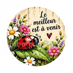 cabochon porte bonheur le meilleur est à venir- magnet- miroir