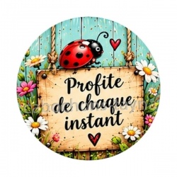 cabochon porte bonheur- Profite de chaque instant- magnet