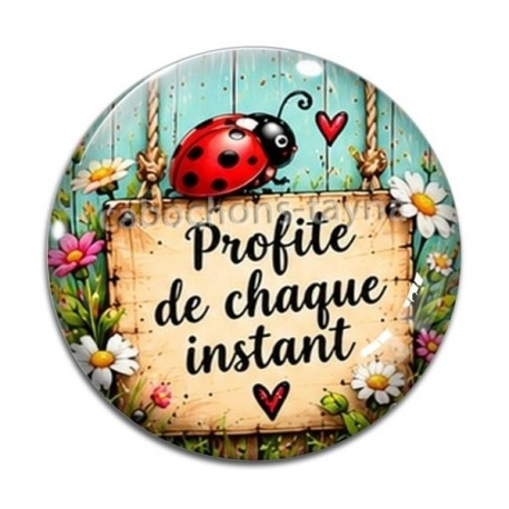 Cabochon Verre - cabochon porte bonheur- Profite de chaque instant- magnet- porte clés