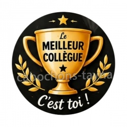 cabochon le meilleur collègue c'est toi- verre ou résine