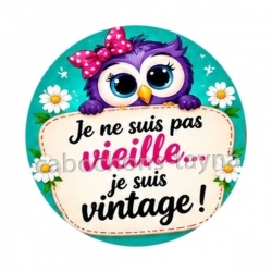 cabochon je ne suis pas vieille je suis vintage- miroir slogan