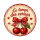 cabochon le temps des cerises- plusieurs supports