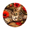 cabochon chat rayure- chat coquelicot