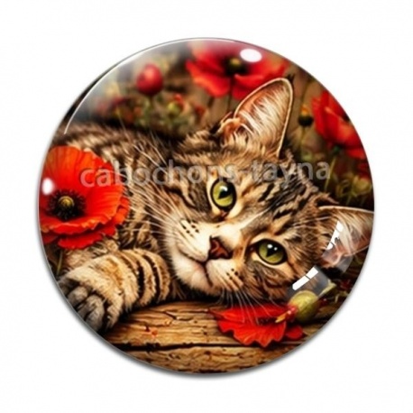 Cabochon Verre - cabochon chat rayure- chat coquelicot