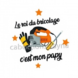 mon papy roi du bricolage