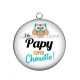 Pendentif Cabochon Argent - un papy super chouette