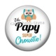Cabochon Résine - papy super chouette