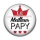 Cabochon Résine - meilleur papy