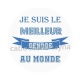 meilleur gendre du monde