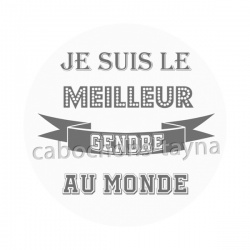 meilleur gendre du monde
