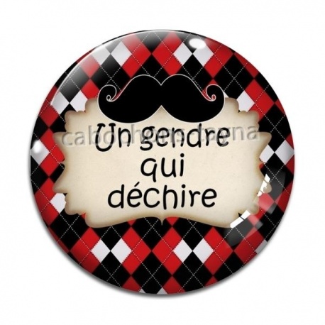 Cabochon Verre - un gendre qui déchire