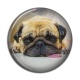 Cabochon Résine - chien
