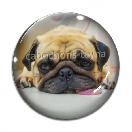 Cabochon Verre - chien