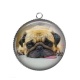Pendentif Cabochon Argent - chien