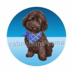 chien